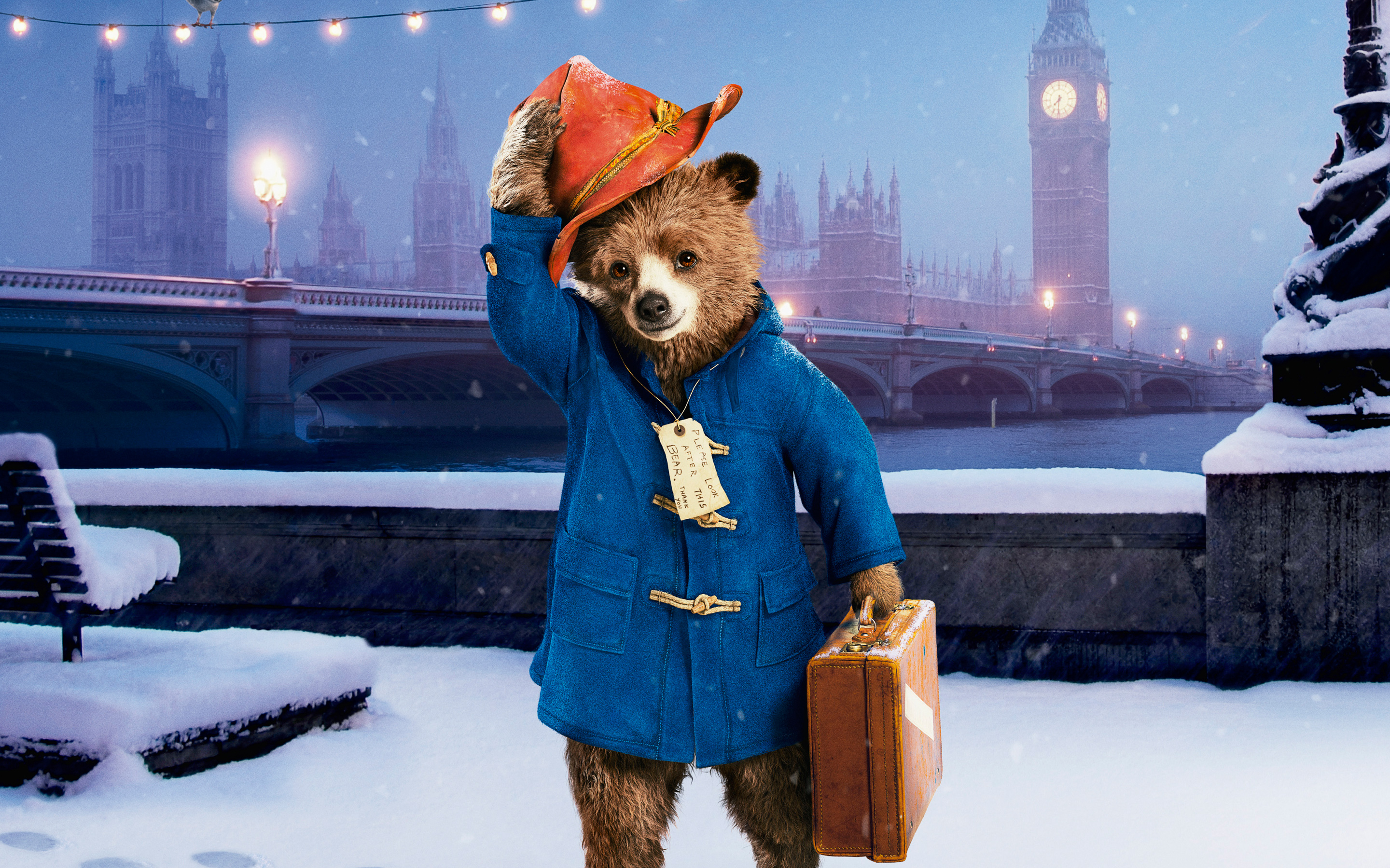 Paddington Wallpapers - HD Wallpapers 103420